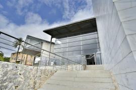 Lloseta es prepara per a acollir les I Jornades de Benestar Animal