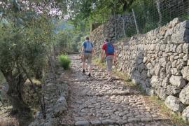 El Consell rep 33 propostes a la futura Llei Serra