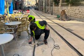 L'Ajuntament instal·la les balises per delimitar les vies del tramvia