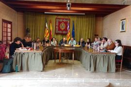 El ple celebrat avui.