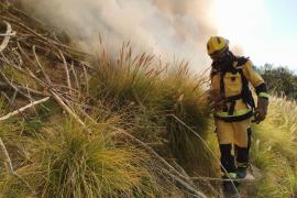 Queda prohibit fer foc en terrenys forestals a partir de dia 1 de maig
