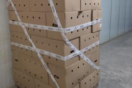 La Conselleria d'Agricultura, Pesca i Medi Natural intervé una partida de 7.200 ous provinents de la Península per presumpte frau en el pes