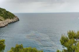 Una capa de gasoil cobreix la badia del Port