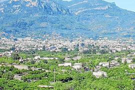 SOLLER. AGRICULTURA. La modificaciÃ³ puntual del Pla dâHorts i Tarongers, aturat. LâÃ rea dâHorts i Tarongers restringeix