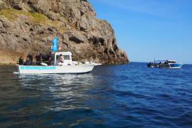 Fotografies submarines per una reserva marina a s’Illeta