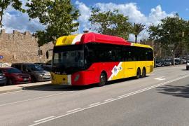 Treballadors del TIB faran vaga indefinida a partir del 25 de juliol