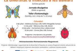 Jornada divulgativa sobre la biodiversitat d’insectes a les Illes Balears