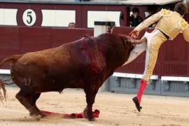 Presenten una queixa davant l'Oficina de la Infància per a evitar la presència de nins a la correguda de toros de Palma