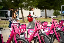 Vianants Mallorca: «L'Ajuntament de Palma vol dissuadir l’ús de la bicicleta sense fer absolutament res per a reduir l'ús del cotxe privat»