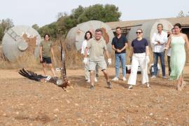 Imatges d'aquest matí a Campos.