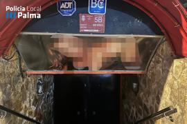Denuncien cinc locals d'oci per publicitat sexista a Platja de Palma