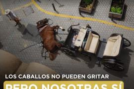 Aquest dissabte: manifestació contra l’explotació que pateixen els cavalls de les galeres de Palma