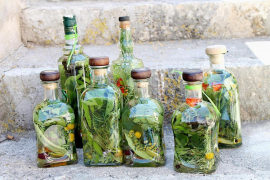 Les herbes mallorquines han estat motiu d'una publicació divulgativa.