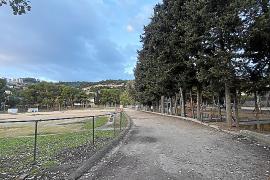 PORT DE SOLLER. Els veÃ¯nats del Port dubten que lÂ¿Ajuntament faci res a lÂ¿Infante Lois.