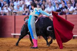 L'espectacle de la tortura dels toros ha tornat a les places de Mallorca gràcies a PP i Vox.