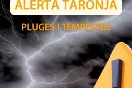 Els cementeris i tres parcs municipals de Palma tanquen aquest dimecres davant l'alerta taronja per pluges i tempestes