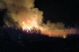 Incendi forestal al parc natural de s'Albufera amb cinc focus actius. S'investiga com a intencionat