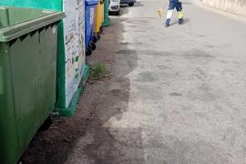 Avui matí Sóller 2010 ha netejat el punt de recollida de fems.