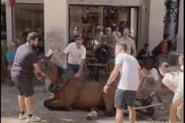 Vídeo del moment en què un cavall d’una galera de Palma s’ha desplomat per la calor i l’esgotament