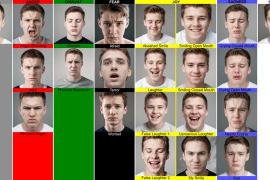 Guardonen un estudi de la UIB sobre l'aplicació de la intel·ligència artificial al reconeixement d'expressions facials