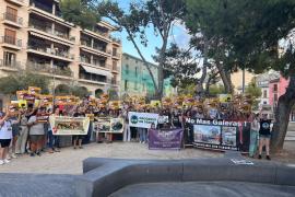 Més de 200 persones exigeixen al PP de Palma complir allò aprovat a Cort i posar fi al servei de galeres