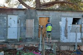 Detecten 11 infrahabitatges de lloguer en un assentament a Manacor