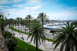 Palma activa el Platerpalma en fase de preemergència davant les alertes decretades per pluges i tempestes aquest dilluns i dimarts