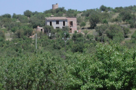 El Ple del Consell ha aprovat per unanimitat una moció del PI - Proposta per les Illes amb la qual es compromet a «no canviar la superfície mínima de construcció, dues quarterades,en sòl rústic».