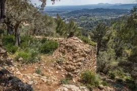 El Govern comprarà la finca de sa Bastida, a Alaró