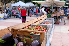 El Mercat Ecològic de Palma ha celebrat aquest dissabte els seus 15 anys de vida amb una festa reivindicativa.