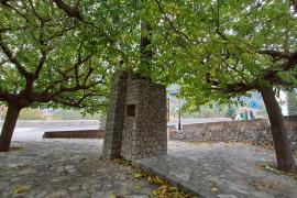El Monument a l’Emigrant, un lloc abandonat per l’Ajuntament i ocult pels arbres