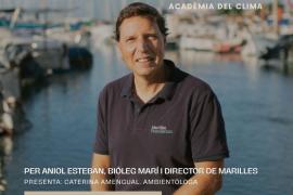 ‘El canvi climàtic i els seus impactes a la mar balear’