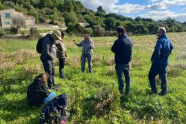 Imatge de la visita guiada per l'explotació de Son Mesquida celebrada aquest dissabte.