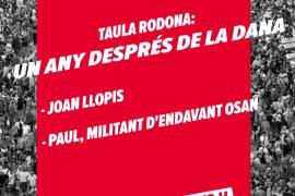 Taula rodona 'Un any després de la Dana' a Palma