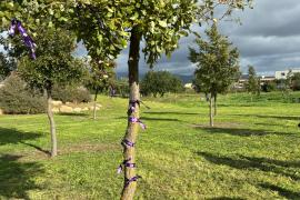 Comença el seminari 'Història i Violències Masclistes: Dones represaliades, memòria i resistència' a la UIB