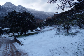 La nevada cobreix la Serra però demà es recupera la normalitat a les escoles