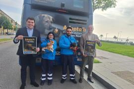 Campanya per a incentivar l'adopció dels animals, especialment cans i moixos, acollits a Son Reus