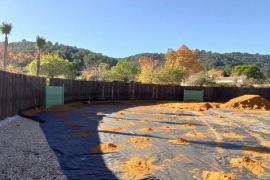 Demanen que s'investigui l'activitat d'una plaça de toros il·legal a Esporles