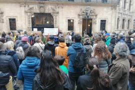 Els veïns de la Calatrava demanen «responsabilitats polítiques i tècniques» per la tala de bellaombres