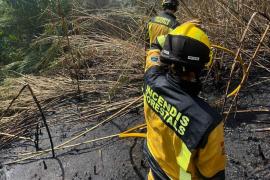 Les Illes Balears tanquen l'any amb un dels millors balanços d'incendis forestals de les darreres dècades
