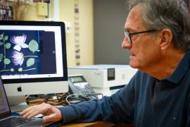 L'Herbari Virtual del Mediterrani Occidental compleix 25 anys