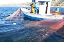 El Govern ha defensat que qualsevol innovació en matèria pesquera es faci «garantint la seguretat de la flota i respectant la sostenibilitat dels recursos marins».