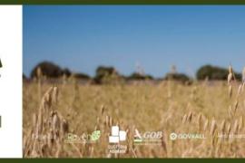 Transformació col·lectiva i ramaderia regenerativa al Seminari d’Agricultura i Medi Ambient 2026 a Menorca