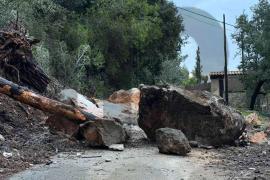 Esfondrament de roques i caiguda d'arbres a Esporles