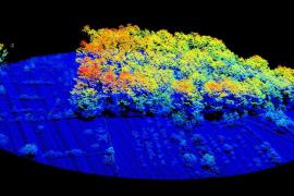 Nou Mapa Forestal de les Illes Balears amb tecnologia de darrera generació
