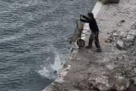 [VÍDEO] El GOB denuncia abocaments a la mar al penyal de cala Corb