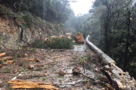 El Coll seguirà tallat uns dies per risc de més despreniments