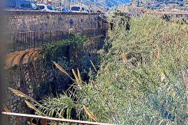 Cap empresa opta a fer la zona verda a sa Torrentera