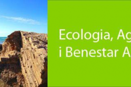 Des de l’Àrea d’Ecologia, Agricultura i Benestar Animal tenen el convenciment que l’agricultura a Palma és una activitat de futur.