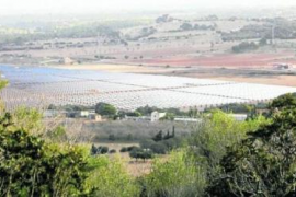 Amics de la Terra presenten al·legacions contra el projecte del «megaparc fotovoltaic» a Manacor.